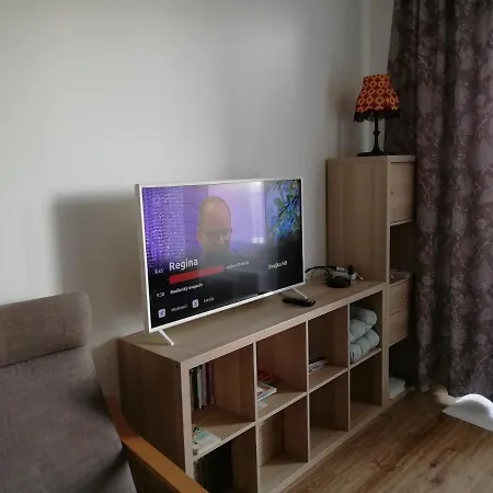 In Near Hockey Stadium And City Center Apartment *